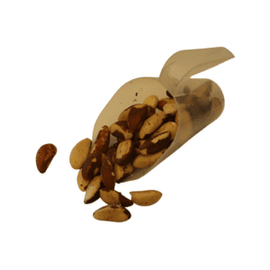 Castanha do Brasil Inteira