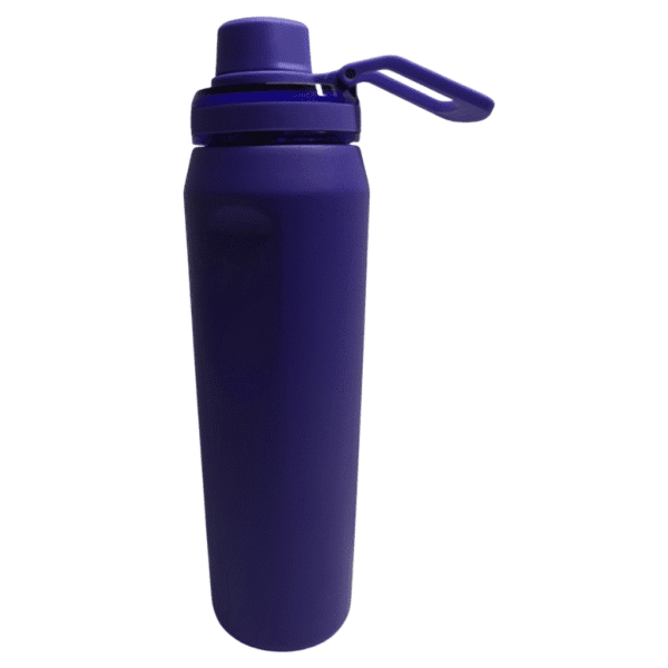 PACCO GARRAFA TERMICA VYTA TRUST BLUE 650ML